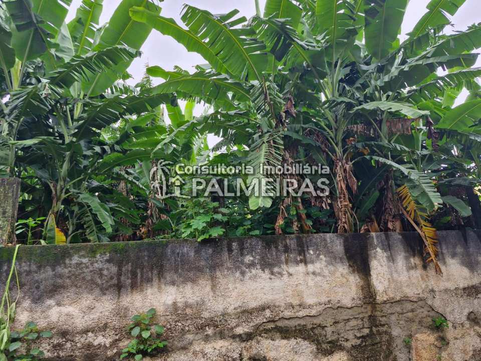 Conheça Casa a venda, Palmeiras, Belo Horizonte - IP-193 - 30 30