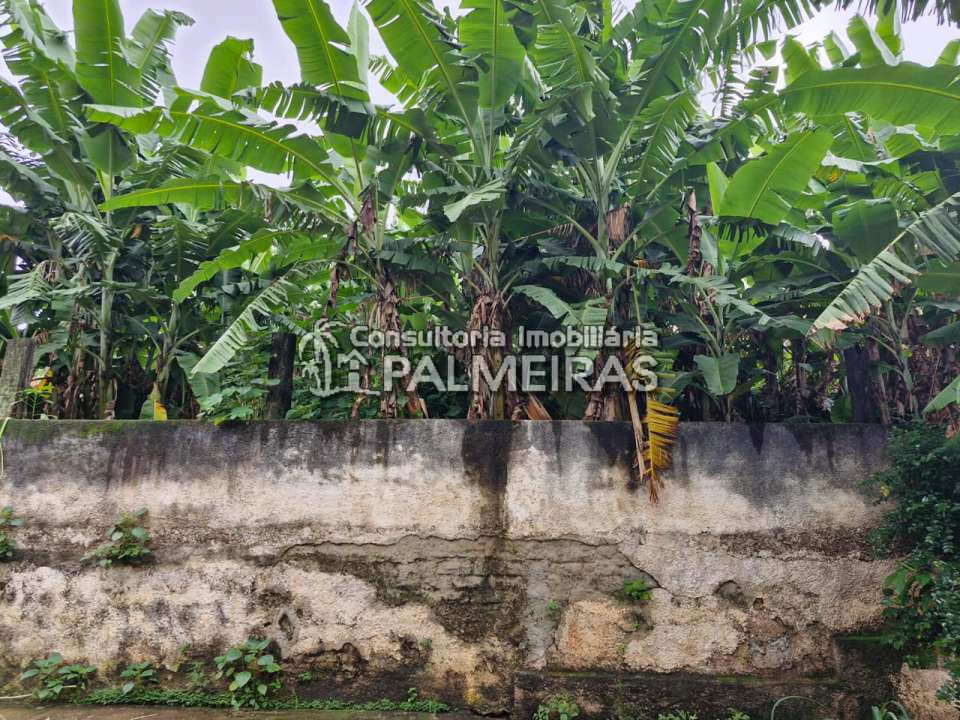 Conheça Casa a venda, Palmeiras, Belo Horizonte - IP-193 - 33 33