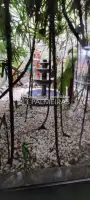 Imperdível - Casa a venda, Palmeiras, Belo Horizonte - IP-199