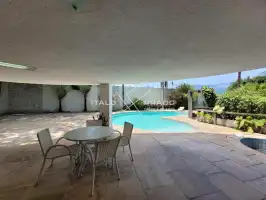 61